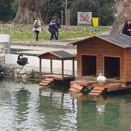 Appartement Modern G66 In The Center